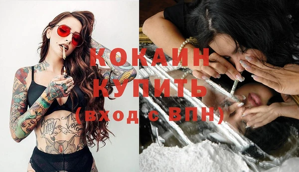 прущие крисы Балахна